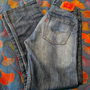 Levi Strauss & CO 514 Reg.